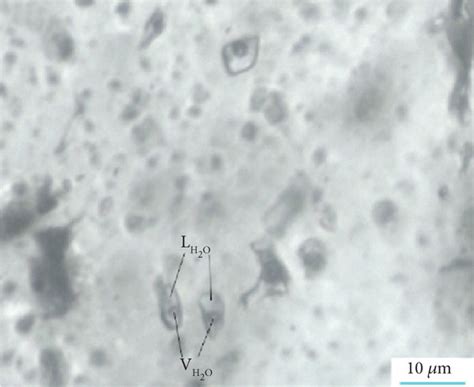 Photomicrographs Of Representative Fluid Inclusions In Quartz Crystals