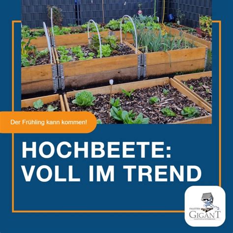 Hochbeete Voll Im Trend Paletten Gigant GmbH