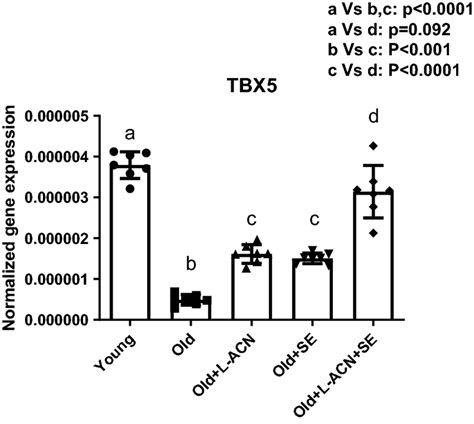 Expression Levels Of TBX5 MRNA In The Heart Of Different Groups As