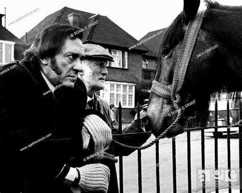 STEPTOE AND SON RIDE AGAIN HARRY H CORBETT WILFRID BRAMBELL Stock