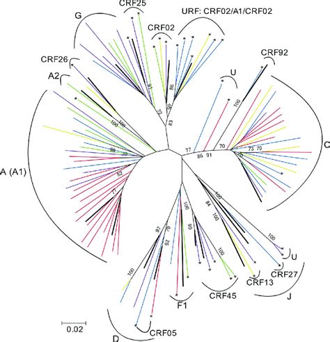 Maximum Likelihood Phylogenetic Analysis Of Aligned Nucleotide