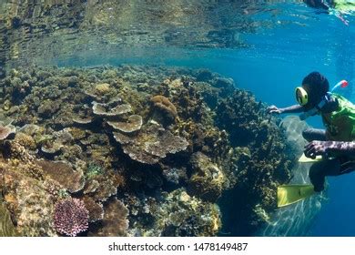 Kimbe Bay Papua New Guinea August Stock Photo 1478149487 | Shutterstock