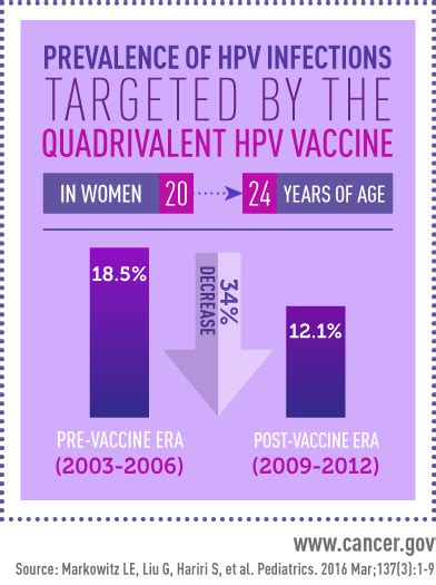 Hpv Infections Decrease In The U S Nci