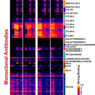 AFEX Increases The Extractability A And Digestibility B Of CS