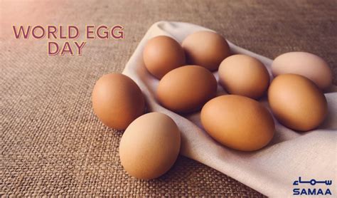 World Egg Day Being Observed Today