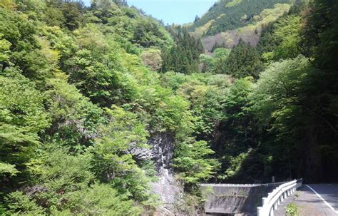 奥秩父源流 中津川渓流釣場 学生幹事ナビ・ガクナビ