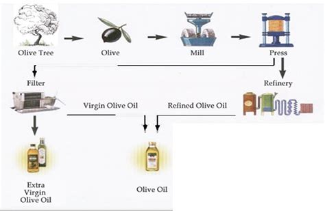 Cach Diagram Example