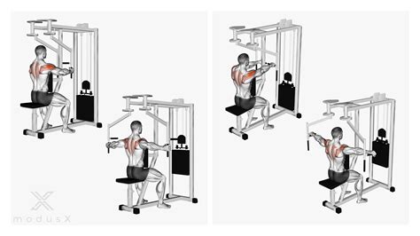 Face Pulls Am Kabelzug Modusx