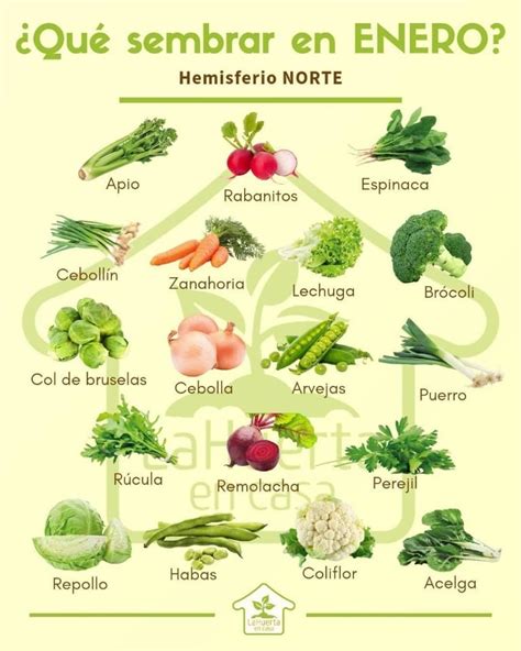 Calendario De Siembra Qu Plantar En El Huerto Y El Jard N En El