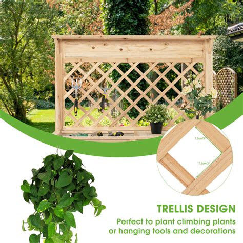 Wood Raised Garden Bed with Trellis – Forclover