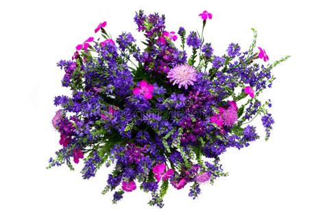 Wild flowers bouquet stock image. Image of isolated, wild - 15024117