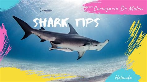 Shark Tips Holanda Cervejaria De Molen YouTube