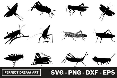 Grasshopper Silhouette Bundles Graphic By Perfectdreamart · Creative