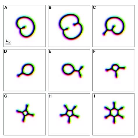 Tailed Skyrmions With Q 0 Skyrmionium With Tails On The Inner