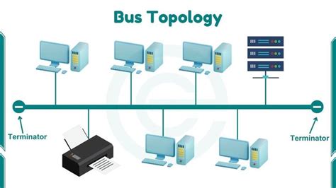 Bus Topology Diagram in 2024 | Topology, Types of network, Bus