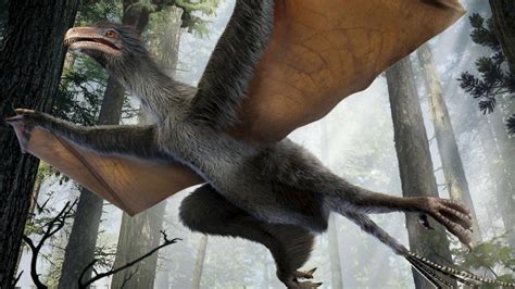 Pigeon-Sized Dinosaur, Precursor to Birds, Had Wings Like Bat