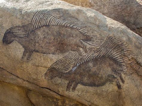 Porcupine Rock Drawings Stock Photo Image Of Rock Denver 110645042