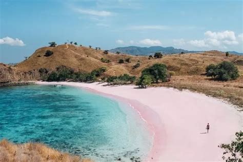 5 Objek Wisata Pantai Pink Indonesia Timur Yang Seindah Bahamas Salah