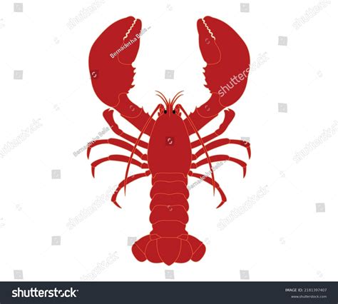 Lobster Sea Animal Cartoon Illustration Delicious Stock Vector Royalty