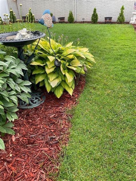 Opinions On Best Edging Rlandscaping