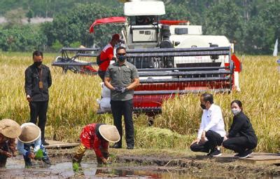 Presiden Jokowi Tinjau Proses Tanam Dan Panen Padi Di Kabupaten Malang