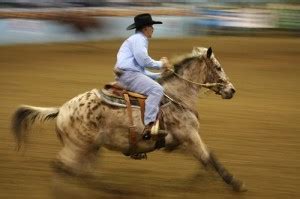 Grays Harbor Mounted Posse Indoor Pro Rodeo Graysharbortalk