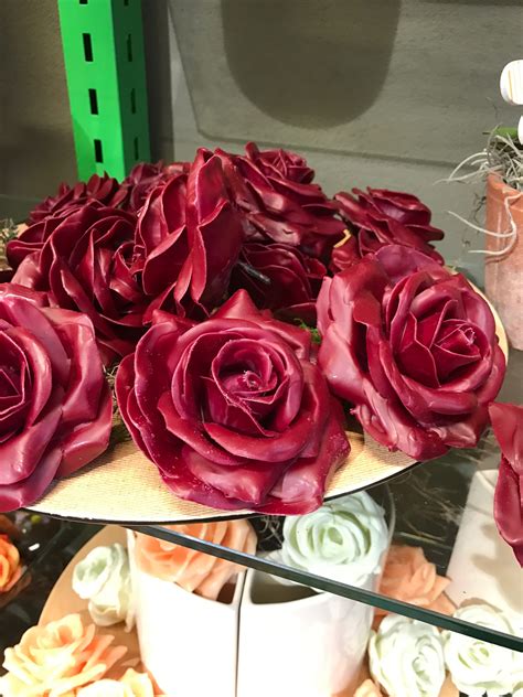 Wax Roses Rose Wax Plants