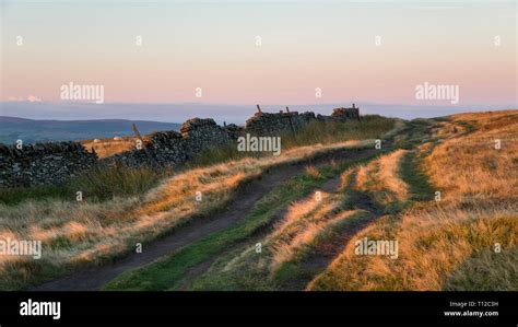 Moorland Path In The Peak District On A Beautiful October Morning Dawn Light On The Grass On