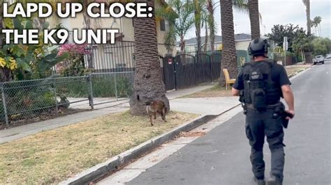 LAPD Up Close Episode 25 The K9 Unit YouTube