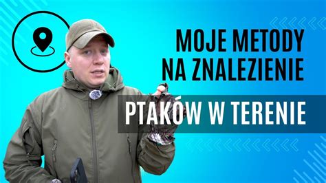 Sposoby na znalezienie ptaków w terenie YouTube