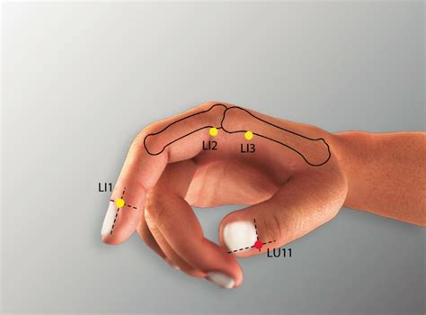 LU 8 JINGQU Lung Meridian Acupuncture Point