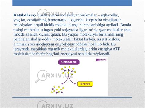 Moddalar Almashinuvi Metabolizm Tirik Organizmlardagi Plastik