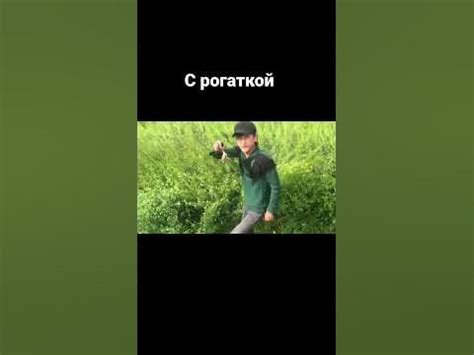 Охота с рогаткой на птиц Часть 8# - YouTube