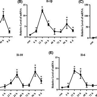 Cytokine Expression In CCl4induced Acute Liver Injury Model Mice The