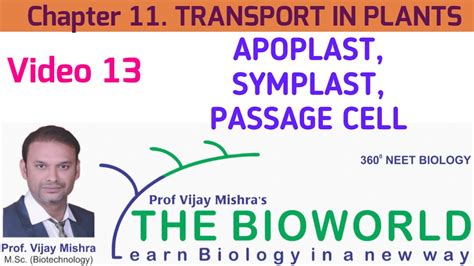 V 13 II APOPLAST SYMPLAST SUBERIN II TRANSPORT IN PLANT II CHAPTER 11