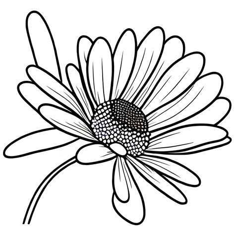 Daisy Lineart Digital Graphic · Creative Fabrica