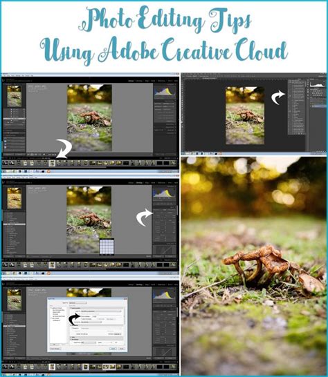 Photo Editing Tips | Adobe Creative Cloud | Sarah Halstead