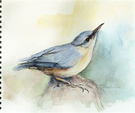 Nuthatch In Watercolor Birds Tutorial Watercolor Bird