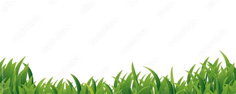 Green Grass Border Frame On White Background Stock Vector Adobe Stock