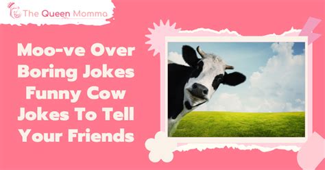 Moo-ve Over Boring Jokes: 121 Funny Cow Jokes To Tell Your Friends