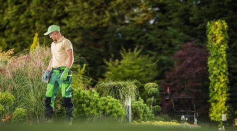 How To Start A Landscaping Or Lawn Care Business In California