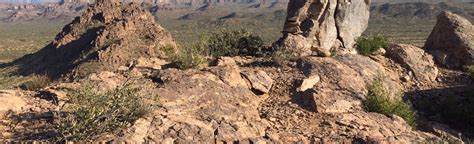 Wedding Cake Hill Via Lost Goldmine Trail Arizona 775 Reviews Map