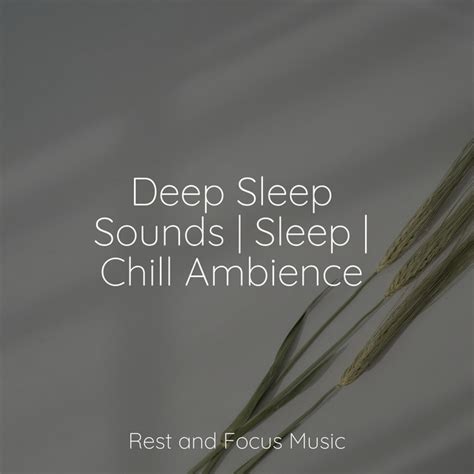 Deep Sleep Sounds Sleep Chill Ambience Album By Soothing White