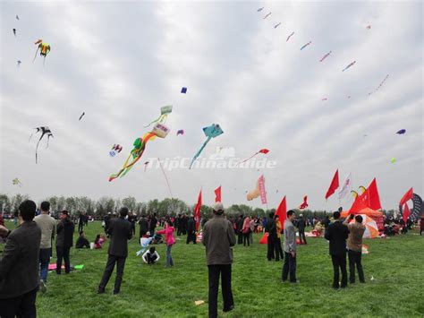 Chinese Kites Facts About Chinese Kites Culture