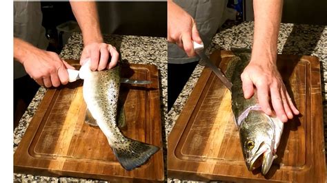 How To Fillet A Speckled Trout And Remove The Skin Bones YouTube