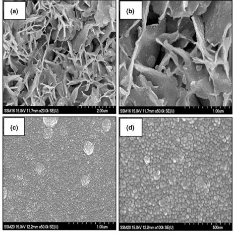 Field Emission Scanning Electron Microscopy Fe Sem Micrographs Of Cds