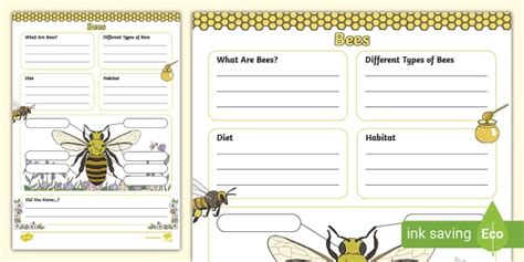 All About Bees Fact File Writing Template Teacher Made