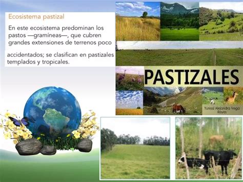 Ciencias Naturales Ecosistemas del Ecuador 5to AÑO PPT