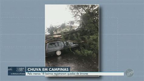 Temporal Com Ventos De Até 753 Kmh Derruba árvores E Causa