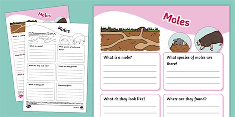 KS1 Mole Fact File Template Hecho Por Educadores Twinkl